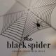 BLACK SPIDER